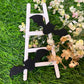 Spooky Bat Home Decor